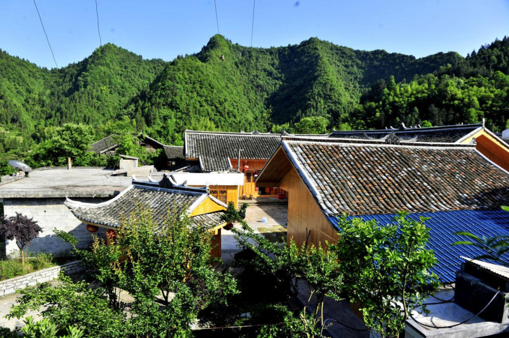 Honeyview_image009.jpg